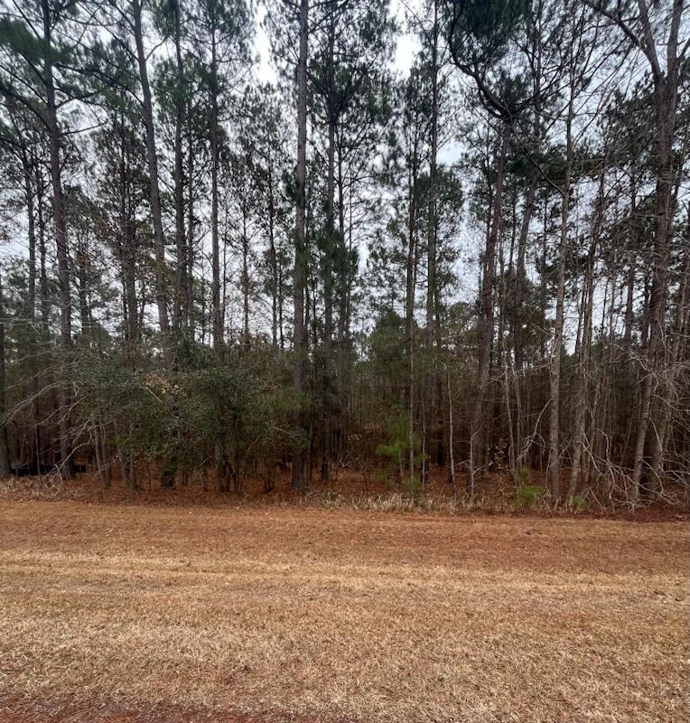 Photo 1 of 2 — Lot 80 Banning Way Road, Tallahassee, FL 32309