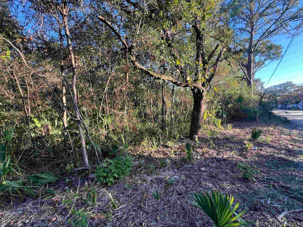 Photo of TBD Otter Lake Road, Panacea, FL 32346 (MLS # 394027)