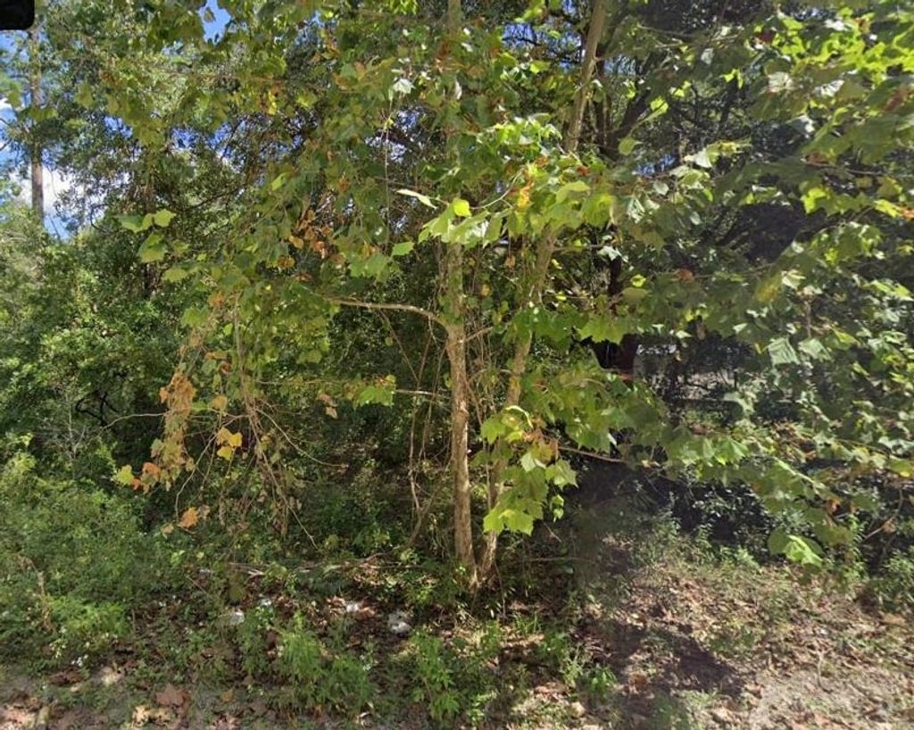 Photo of 10059 Blue Waters Road, Tallahassee, FL 32305 (MLS # 391794)