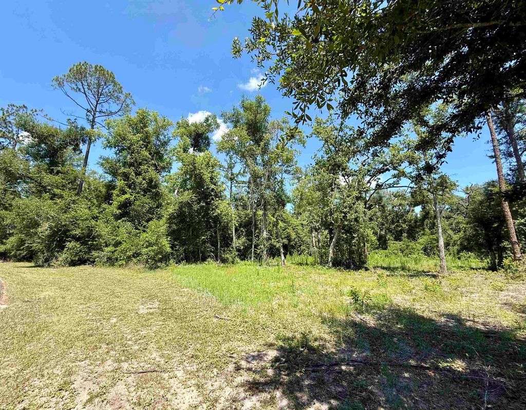 Photo of Vacant Wildwood Circle, Live Oak, FL 32064 (MLS # 402418)