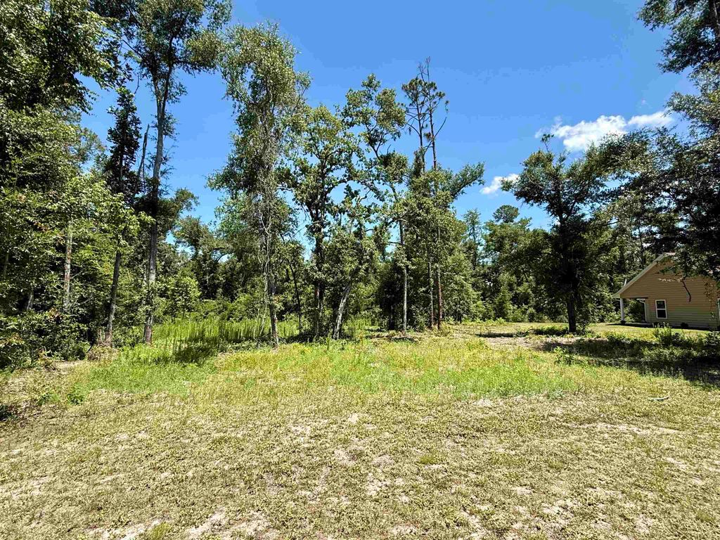 Photo of Vacant Wildwood Circle, Live Oak, FL 32064 (MLS # 402418)