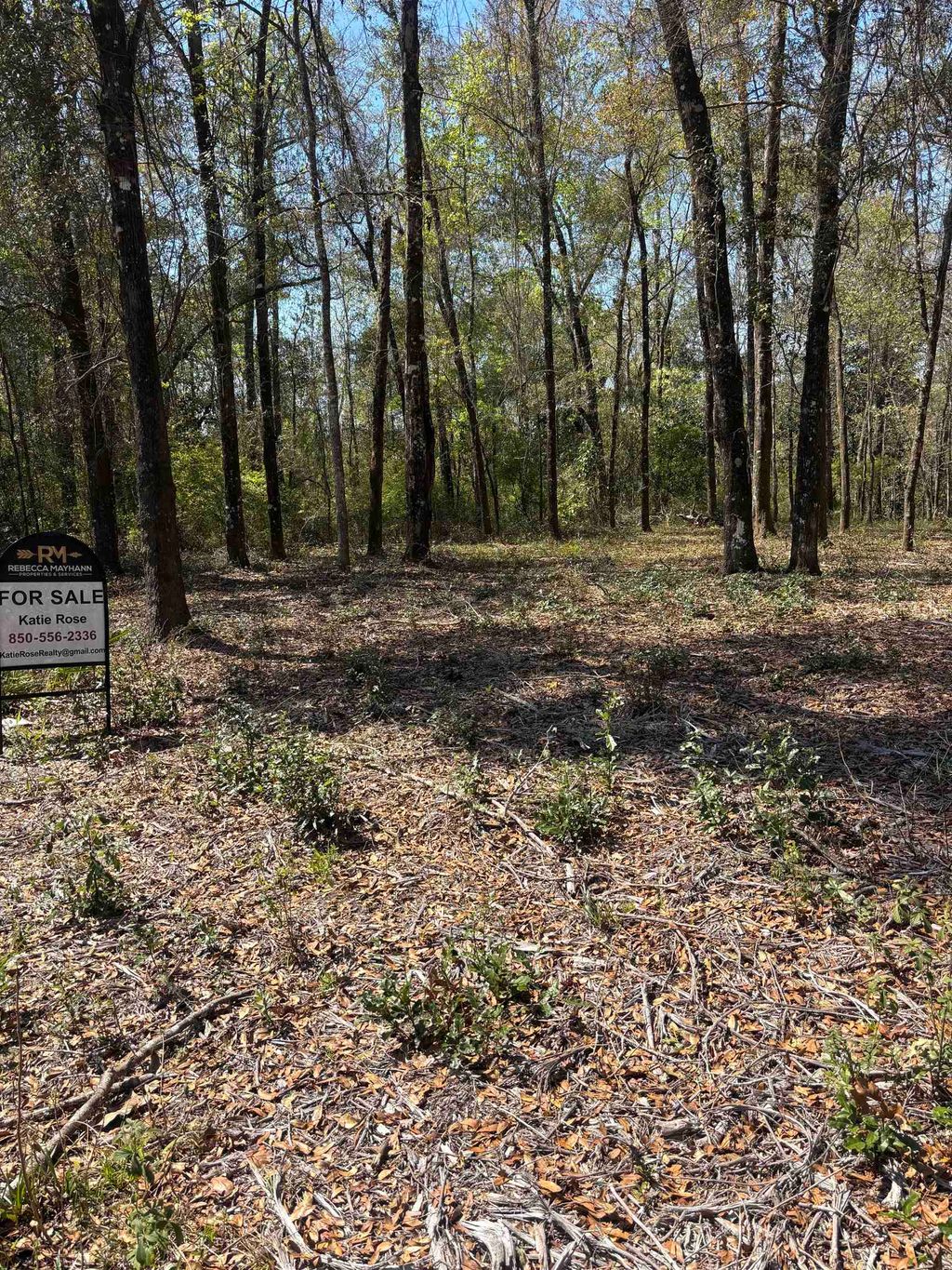 Photo of XX Fonigan Road, Sopchoppy, FL 32358 (MLS # 397645)