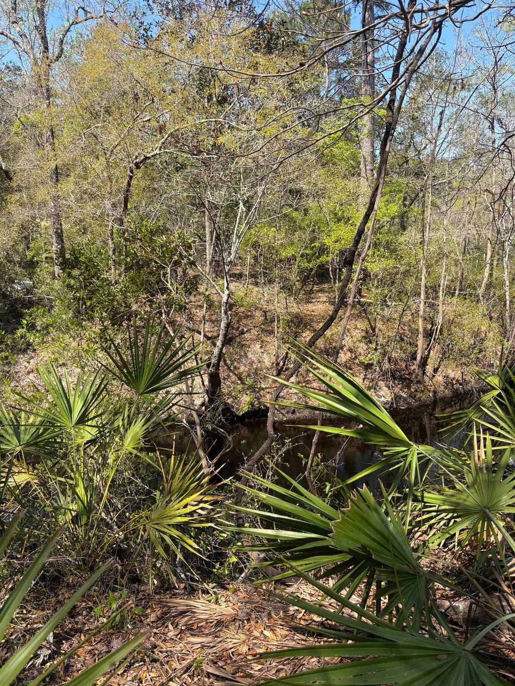 Photo of XX Fonigan Road, Sopchoppy, FL 32358 (MLS # 397645)