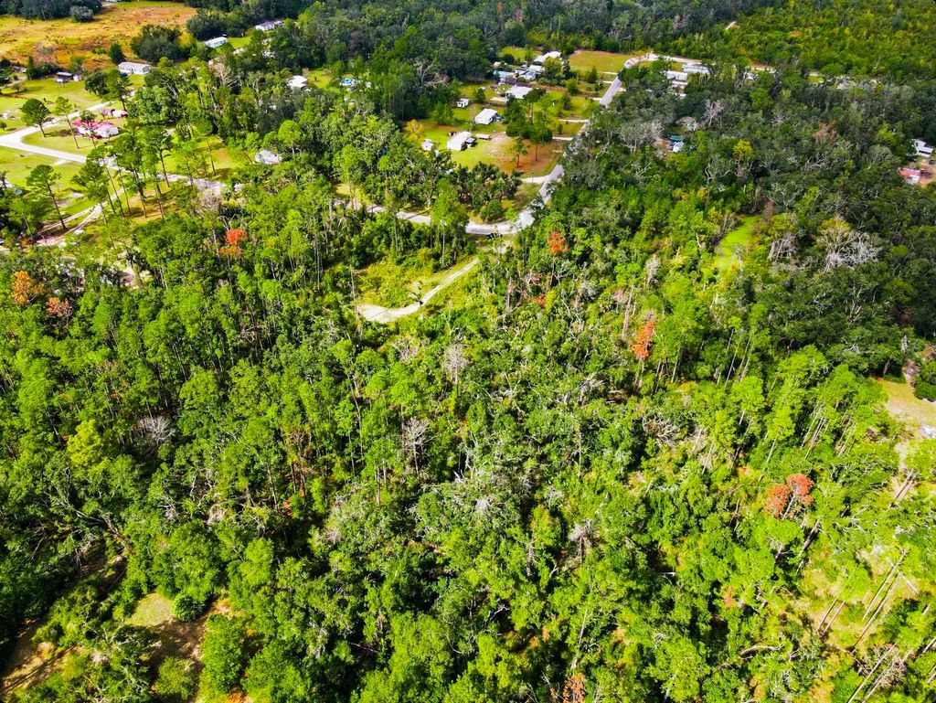 Photo of 2709 W Page Road, Perry, FL 32347 (MLS # 392741)