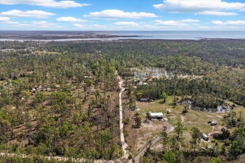 Tiny photo for 539 NW 5th Avenue, Steinhatchee, FL 32359 (MLS # 397884)