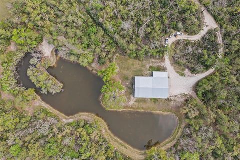 Tiny photo for 539 NW 5th Avenue, Steinhatchee, FL 32359 (MLS # 397884)