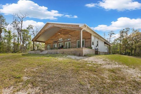 Tiny photo for 539 NW 5th Avenue, Steinhatchee, FL 32359 (MLS # 397884)
