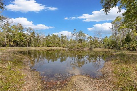 Tiny photo for 539 NW 5th Avenue, Steinhatchee, FL 32359 (MLS # 397884)