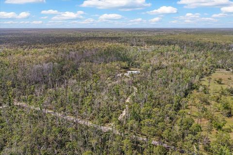 Tiny photo for 539 NW 5th Avenue, Steinhatchee, FL 32359 (MLS # 397884)