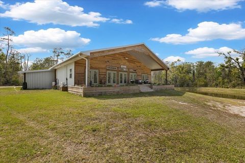 Tiny photo for 539 NW 5th Avenue, Steinhatchee, FL 32359 (MLS # 397884)