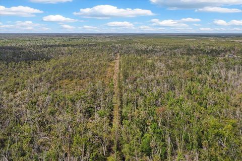 Tiny photo for 539 NW 5th Avenue, Steinhatchee, FL 32359 (MLS # 397884)