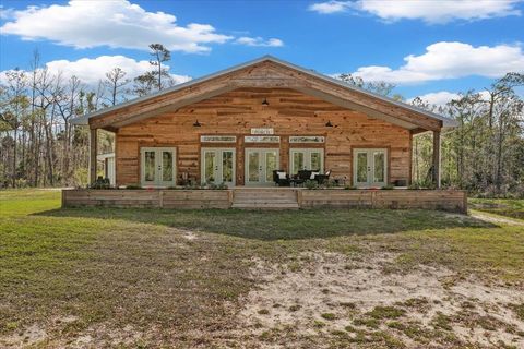 Tiny photo for 539 NW 5th Avenue, Steinhatchee, FL 32359 (MLS # 397884)