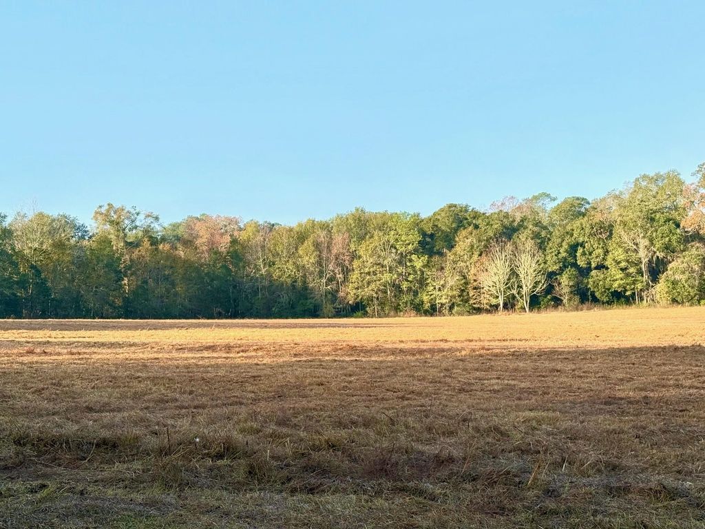 Photo of 13137 Old Settlement Rd. Rd, Tallahassee, FL 32309 (MLS # 395210)