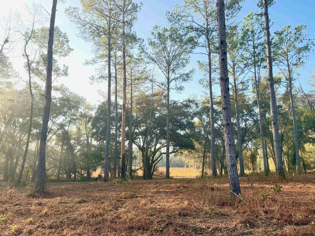 Photo of 13137 Old Settlement Rd. Rd, Tallahassee, FL 32309 (MLS # 395210)