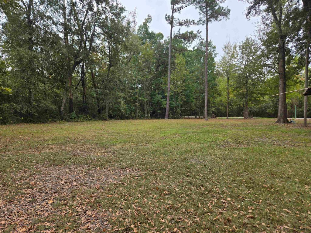 Photo of 16533 SE River Street, Blountstown, FL 32424 (MLS # 394376)
