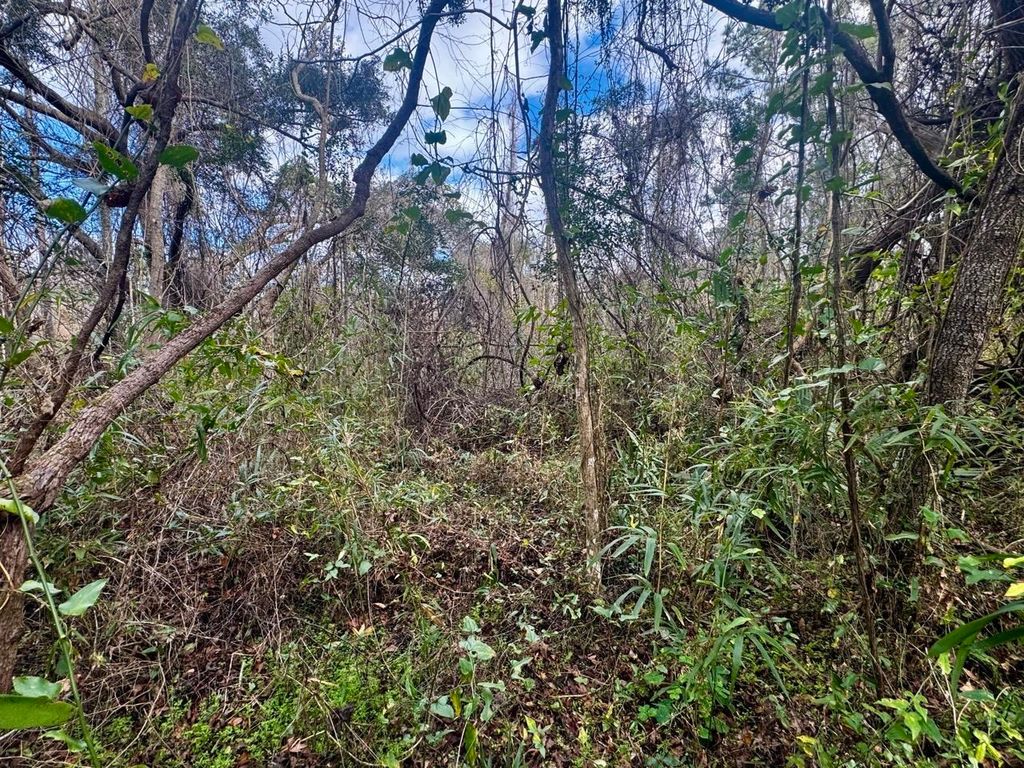 Photo of 000 W US 90, Madison, FL 32331 (MLS # 395202)