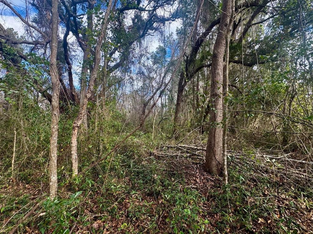 Photo of 000 W US 90, Madison, FL 32331 (MLS # 395202)