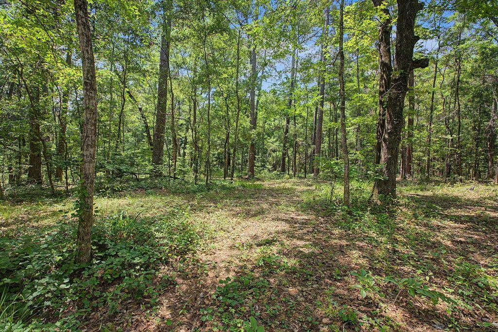 Photo of 7000 VETERANS MEMORIAL Drive, Tallahassee, FL 32309 (MLS # 400263)