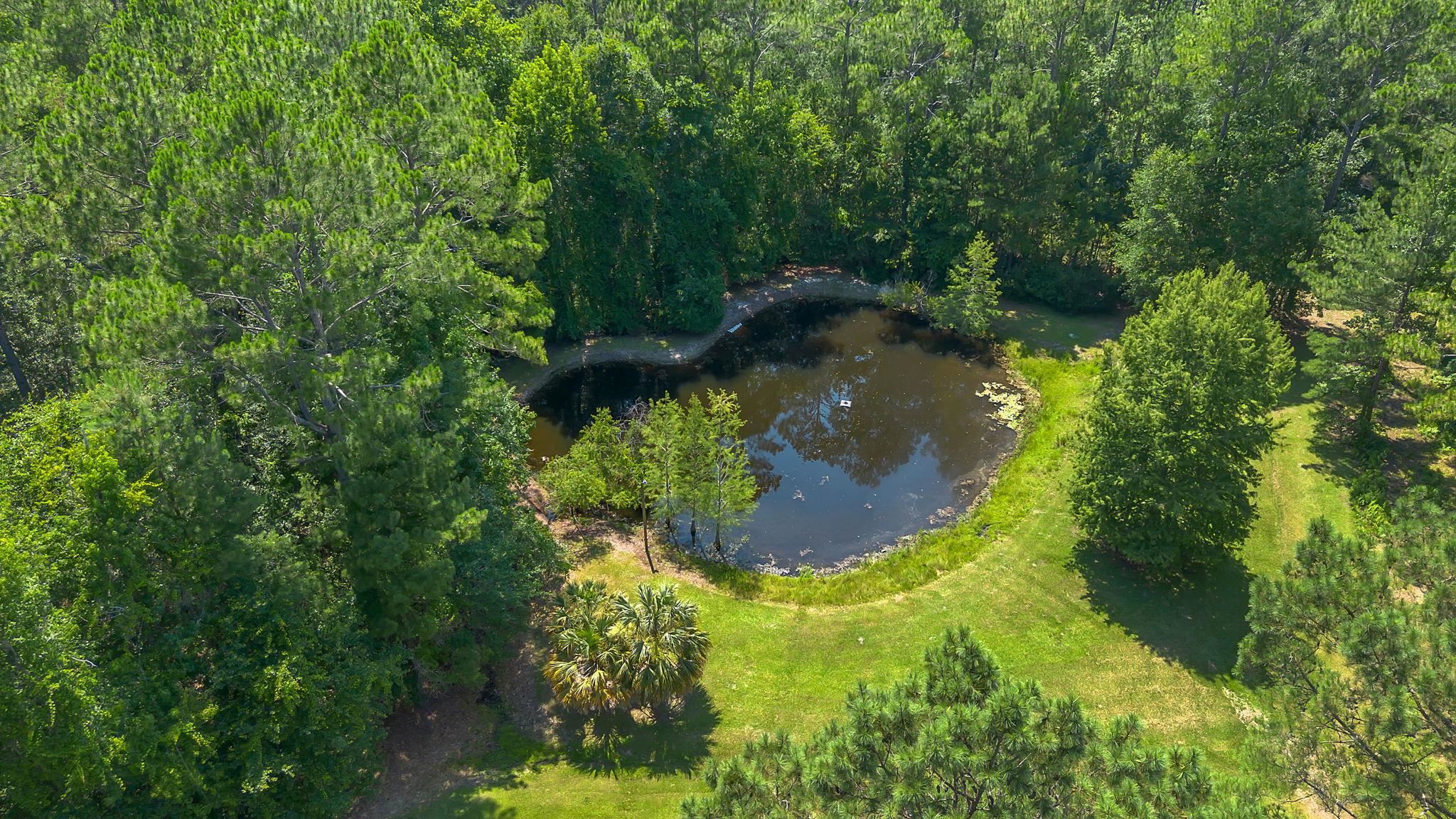 805 Frances Drive