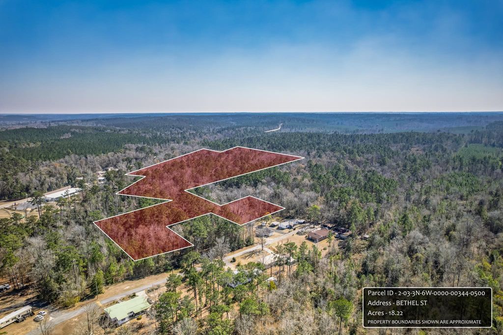 Photo of xxx Bethel Street, Chattahoochee, FL 32324 (MLS # 396320)