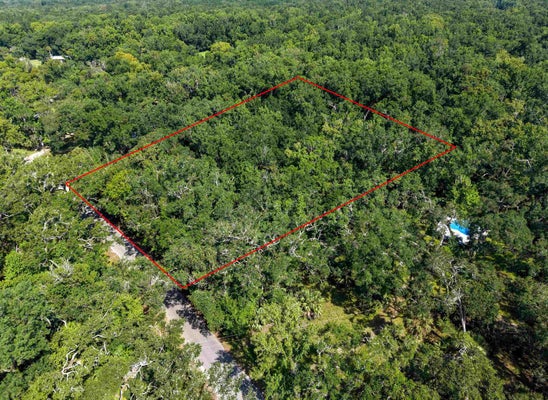 23157 NUTALL RISE RD, LAMONT, FL 32336 - Image b5bb5d95fc20e91d44cd8cd0424e82bd/898608431