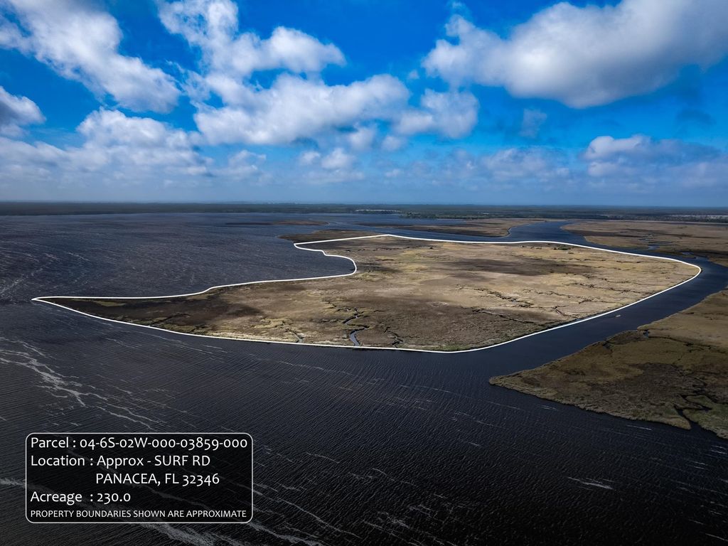 Photo of xx Surf Road, Panacea, FL 32346 (MLS # 384065)