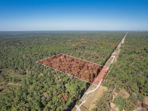 Tiny photo for 9412 Ranchero Road, Tallahassee, FL 32305 (MLS # 393414)