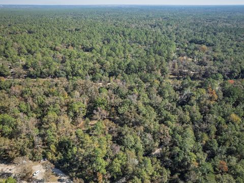 Tiny photo for 9412 Ranchero Road, Tallahassee, FL 32305 (MLS # 393414)