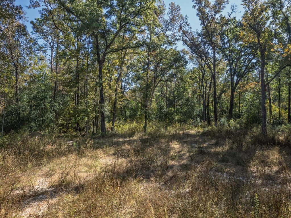 Photo of 9412 Ranchero Road, Tallahassee, FL 32305 (MLS # 393414)