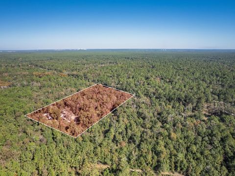 Tiny photo for 9412 Ranchero Road, Tallahassee, FL 32305 (MLS # 393414)