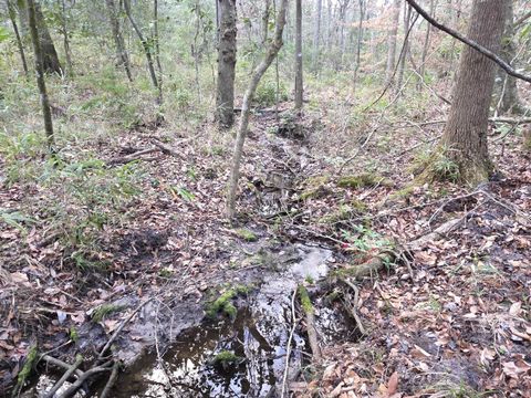 Tiny photo for 0 Williams Landing Road #Lot  27, Tallahassee, FL 32310 (MLS # 386151)