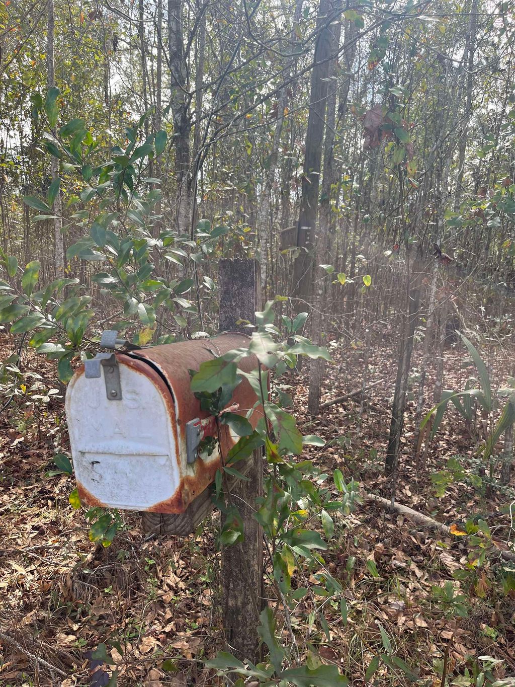 Photo of 50 E Pinhook Road, Monticello, FL 32344 (MLS # 395366)