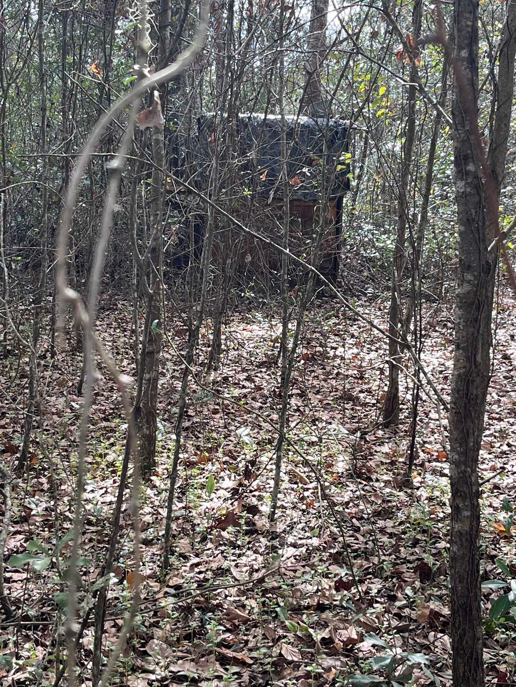 Photo of 50 E Pinhook Road, Monticello, FL 32344 (MLS # 395366)