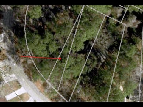 Tiny photo for xx EASY Street, Tallahassee, FL 32303 (MLS # 398521)