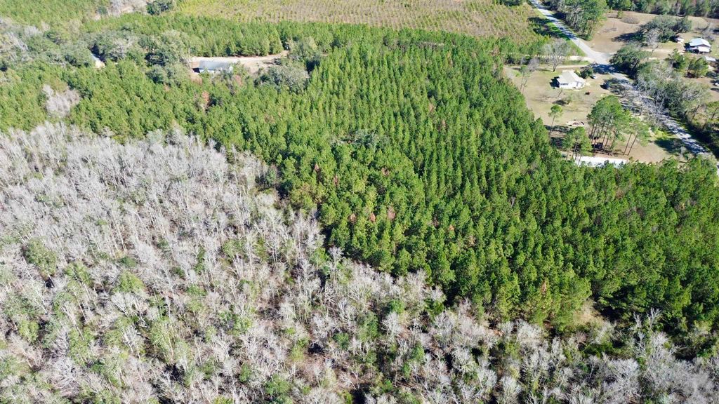 Photo of 200 Samantha's Lane, Monticello, FL 32344 (MLS # 395116)