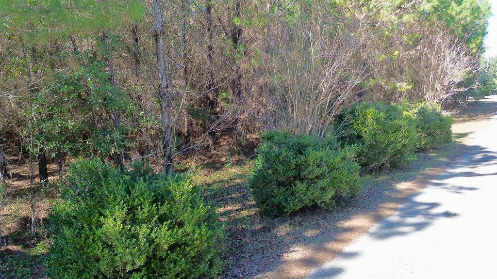 Photo of 200 Samantha's Lane, Monticello, FL 32344 (MLS # 395116)