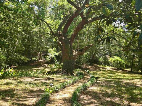 Tiny photo for 727 Miccosukee Road #-, Tallahassee, FL 32308 (MLS # 399221)