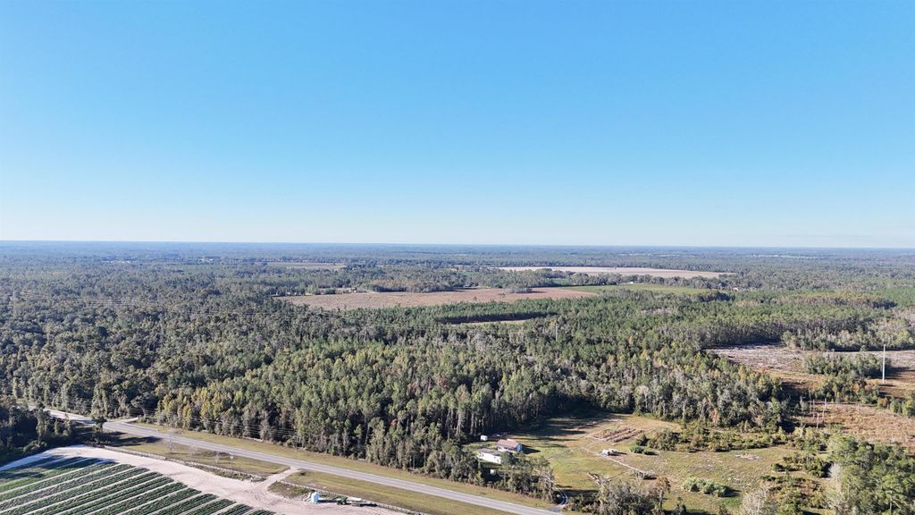 Photo of Vacant NW US Hwy 129, Jasper, FL 32052 (MLS # 392781)