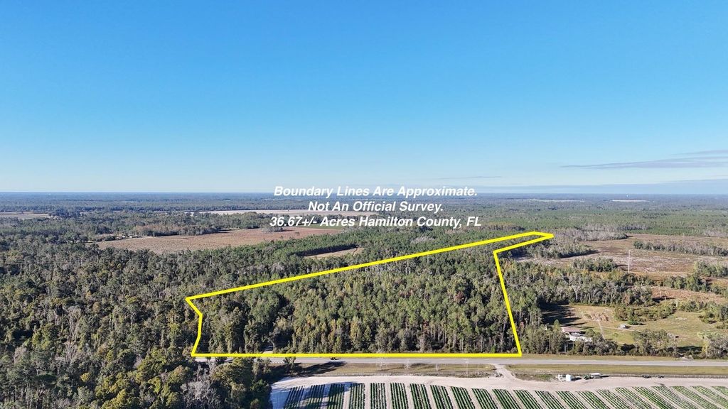 Photo of Vacant NW US Hwy 129, Jasper, FL 32052 (MLS # 392781)