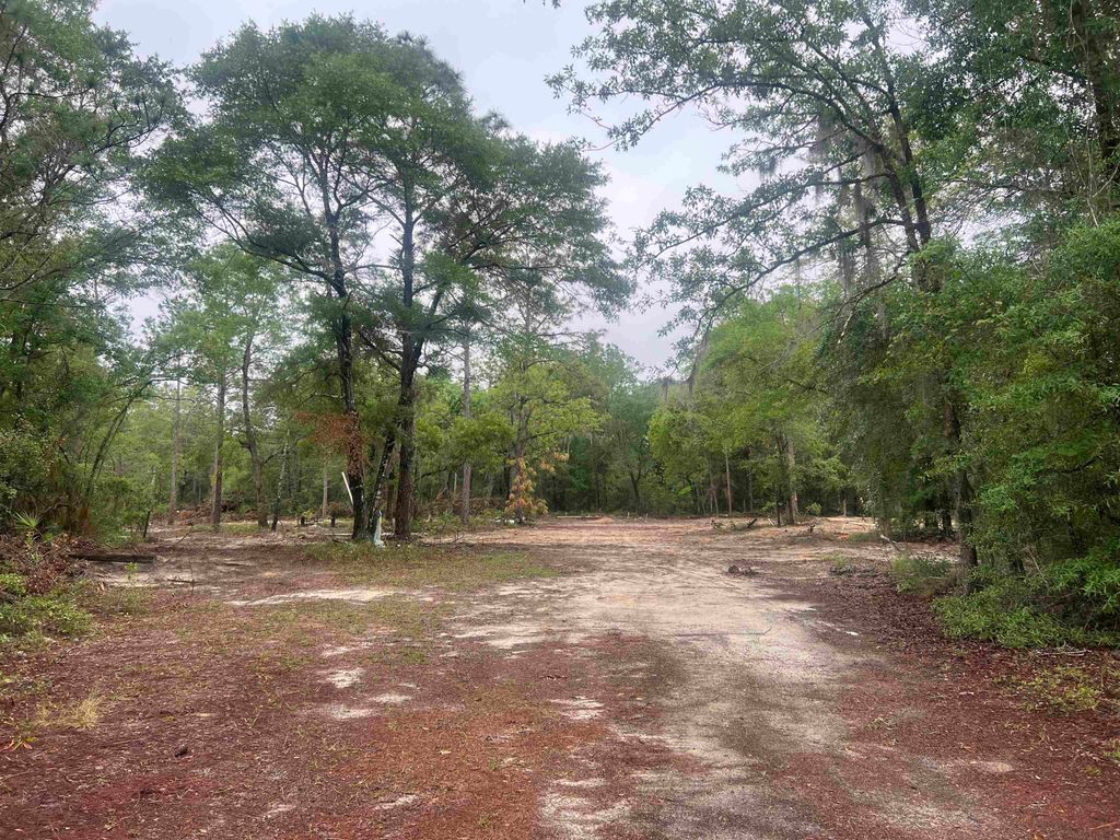 Photo of 45 Old Fereal Highway, Quincy, FL 32351 (MLS # 400430)