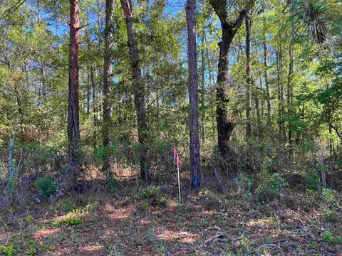 Tiny photo for 45 Old Federal Highway, Quincy, FL 32351 (MLS # 400430)