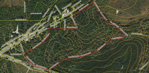 Tiny photo for 45 Old Federal Highway, Quincy, FL 32351 (MLS # 400430)