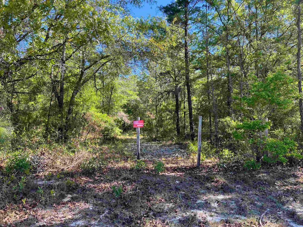 Photo of 45 Old Fereal Highway, Quincy, FL 32351 (MLS # 400430)