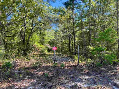 Tiny photo for 45 Old Federal Highway, Quincy, FL 32351 (MLS # 400430)
