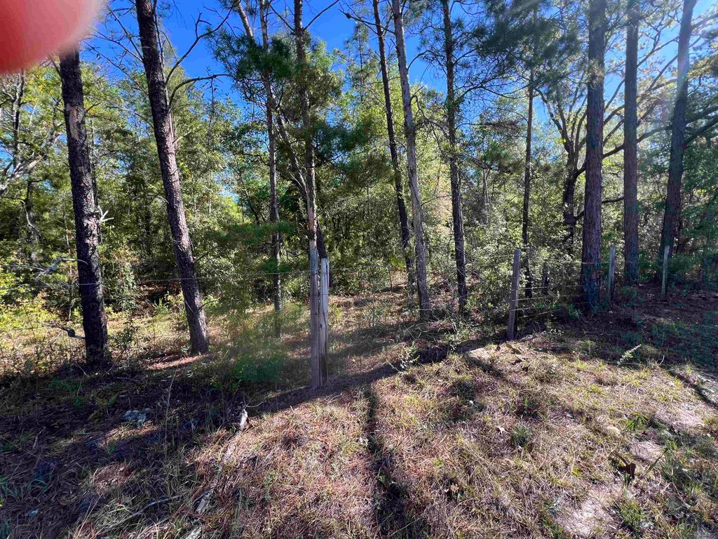 Photo of 45 Old Fereal Highway, Quincy, FL 32351 (MLS # 400430)