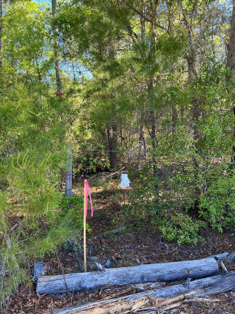 Tiny photo for 45 Old Federal Highway, Quincy, FL 32351 (MLS # 400430)