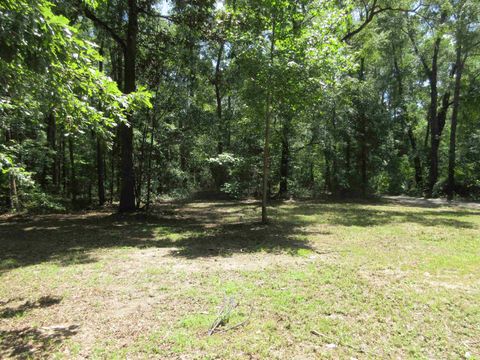 Tiny photo for 11228 Daddy Hall Lane, Tallahassee, FL 32309 (MLS # 350673)