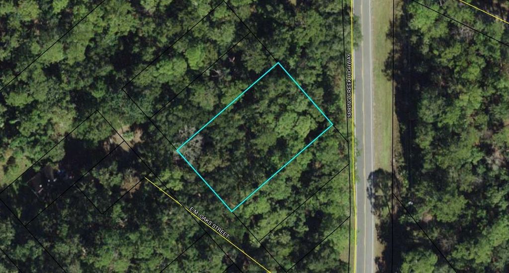 Photo of xx E.M. Oaks Street, Crawfordville, FL 32327 (MLS # 398771)