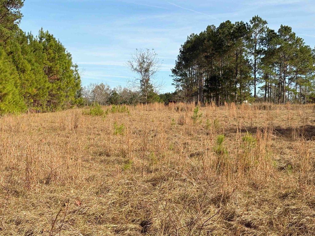 Photo of Quail Roost Dr., Quincy, FL 32352 (MLS # 393643)