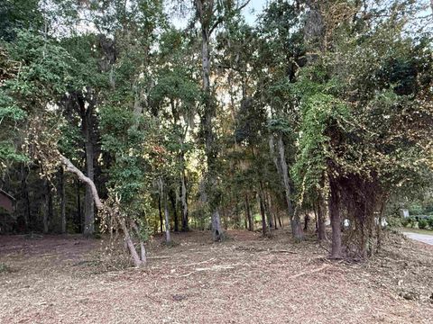 Tiny photo for 7620 Preservation Road, Tallahassee, FL 32312 (MLS # 390602)